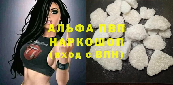 гашиш Богданович